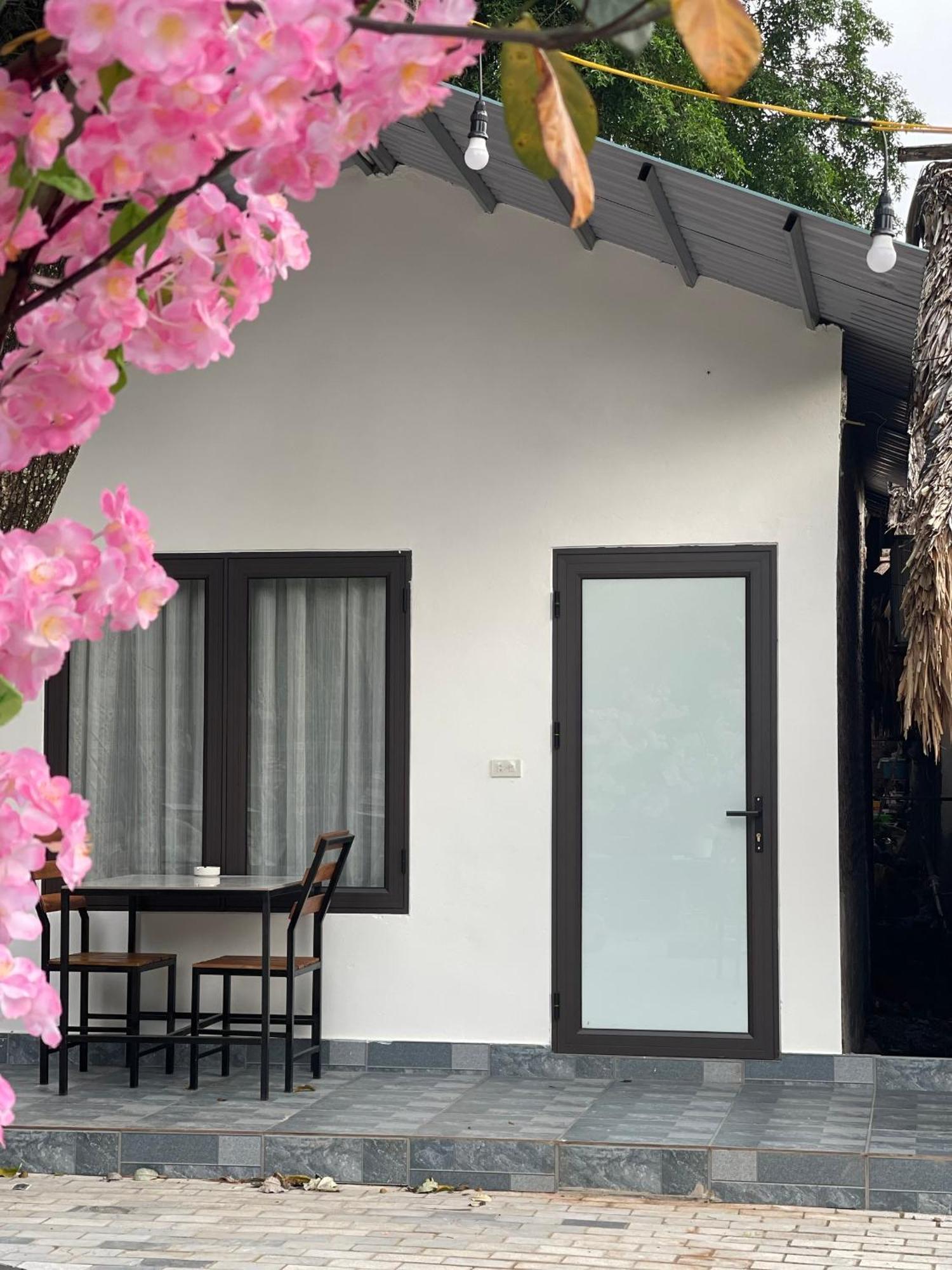 Tam Coc Serene Bungalow Ninh Binh Bagian luar foto