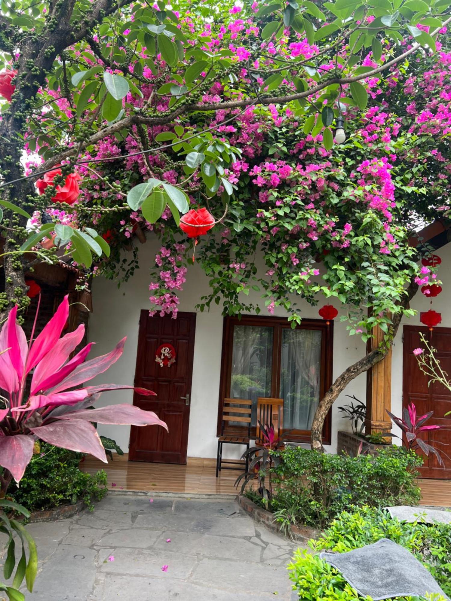 Tam Coc Serene Bungalow Ninh Binh Bagian luar foto